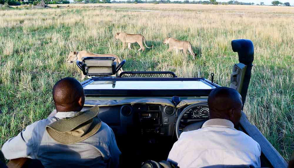 Lagoon Camp - Botswana